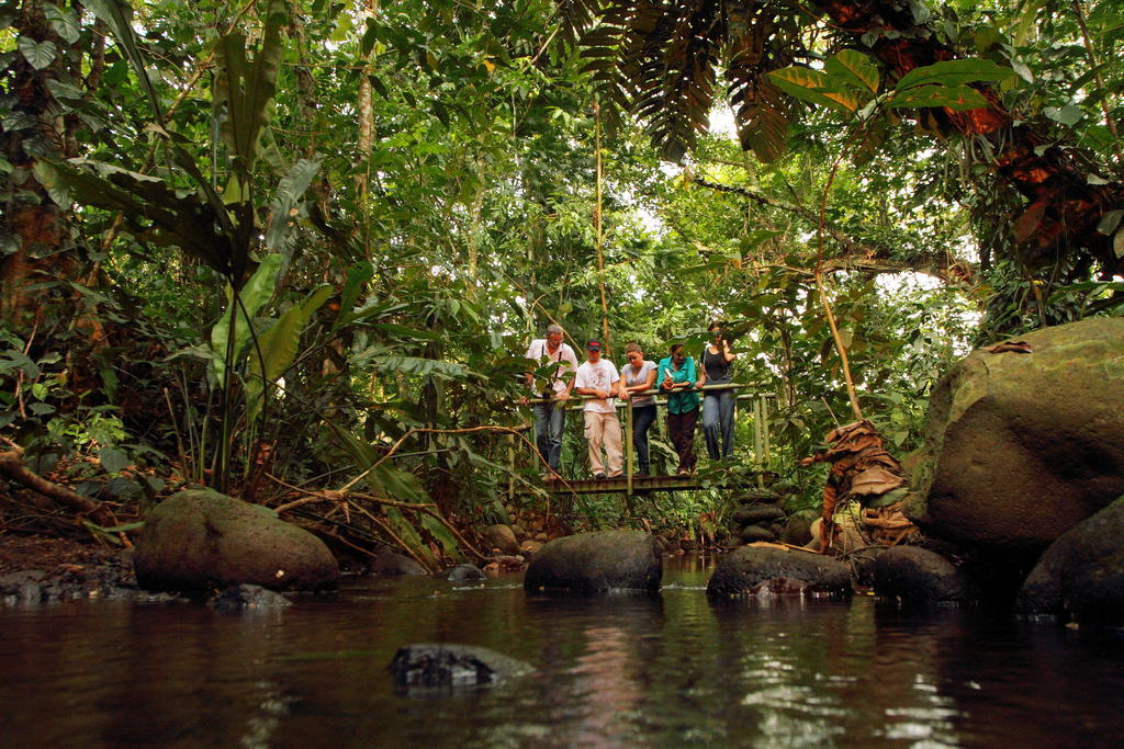 Hacienda La Isla Lodge Sarapiquí Екстериор снимка