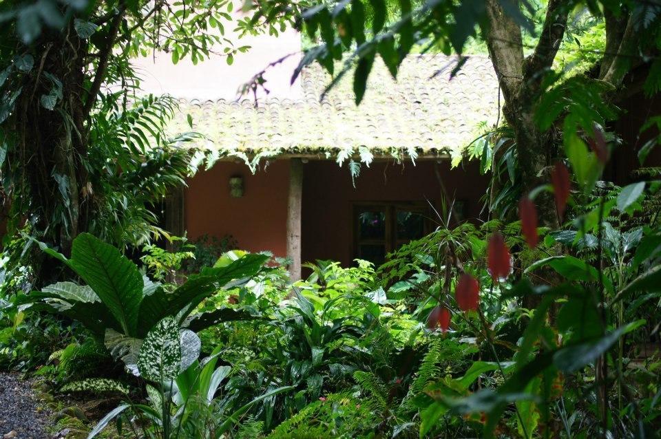 Hacienda La Isla Lodge Sarapiquí Екстериор снимка